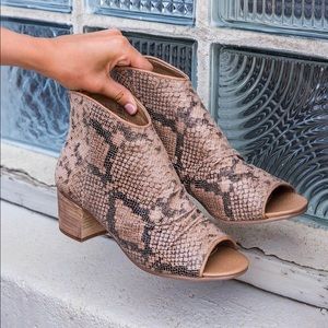Snakeskin booties